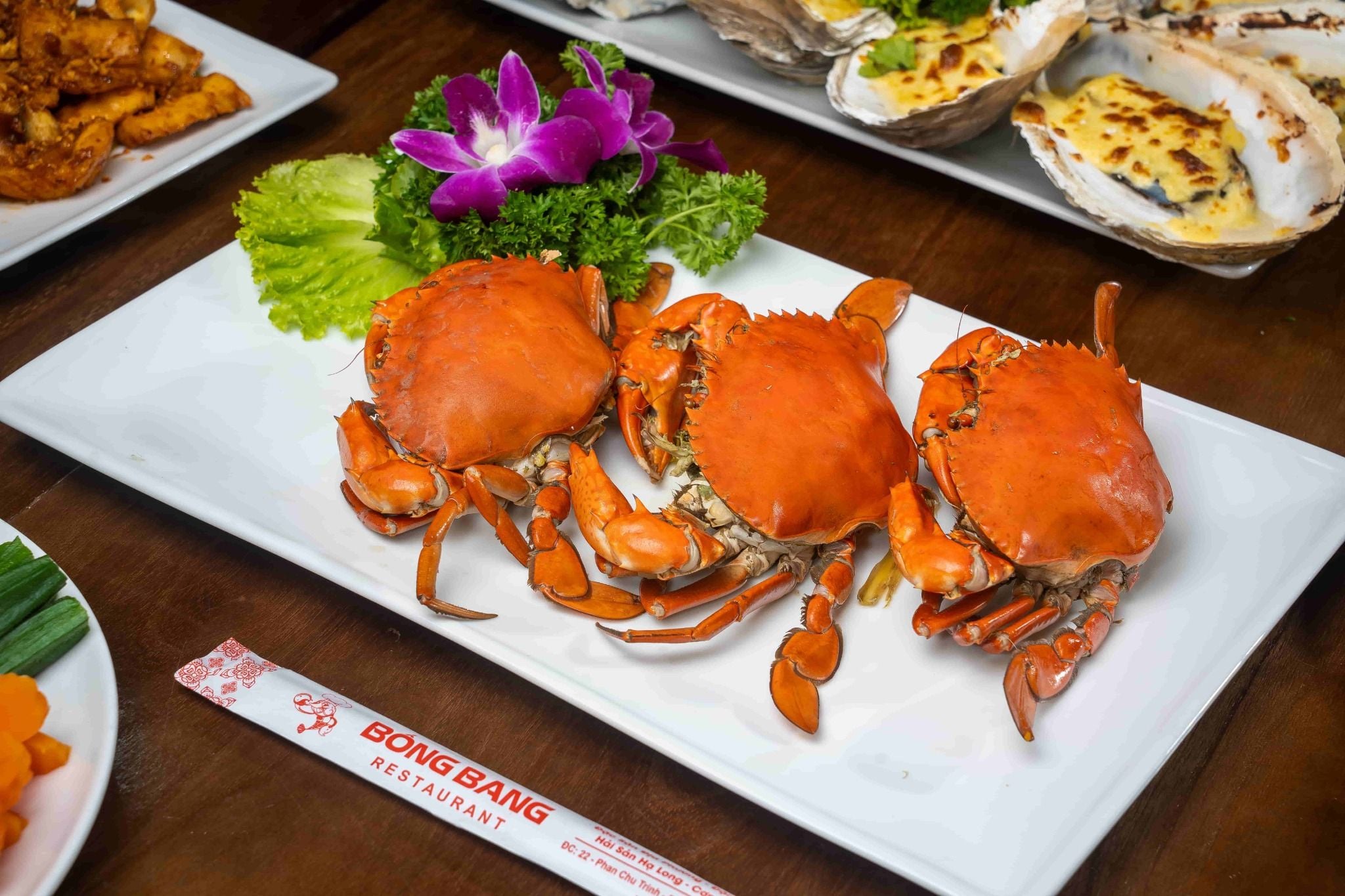 Bống Bang Hạ Long - Phan Chu Trinh