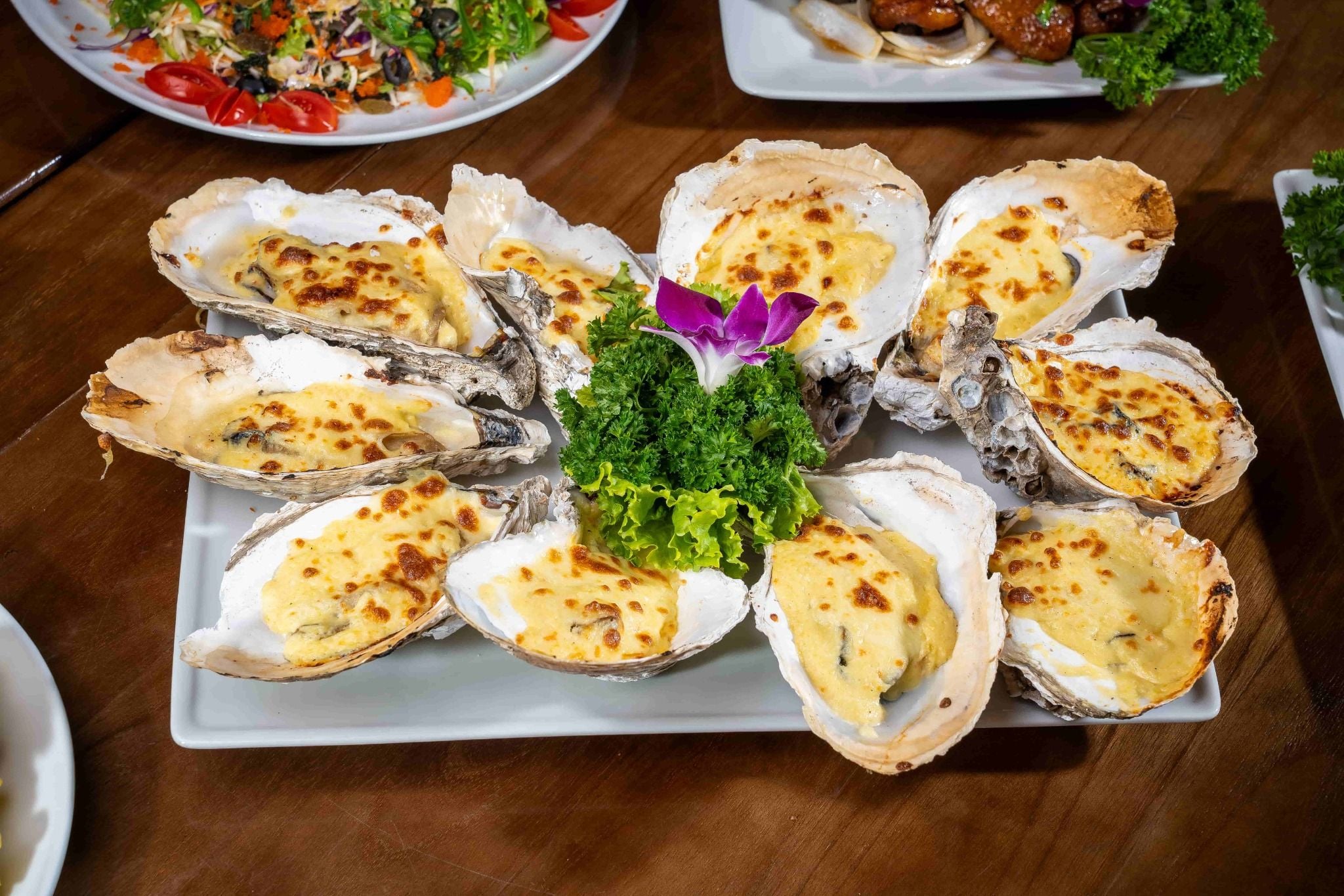 Bống Bang Hạ Long - Phan Chu Trinh