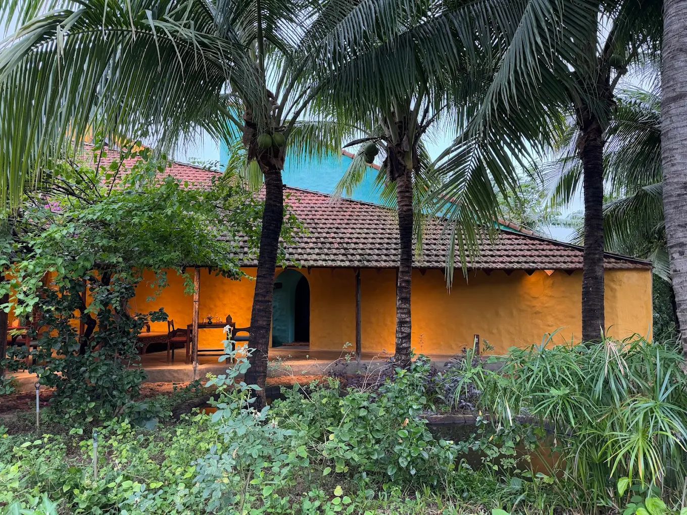 Rêu Dining - Làng Trà Quế