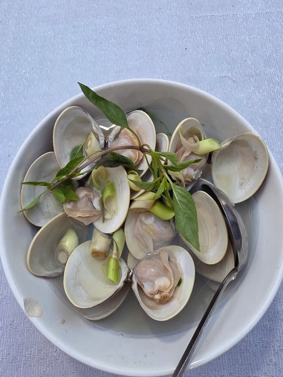 Tuyết Seafood - Lô 3 Biển An Bàng