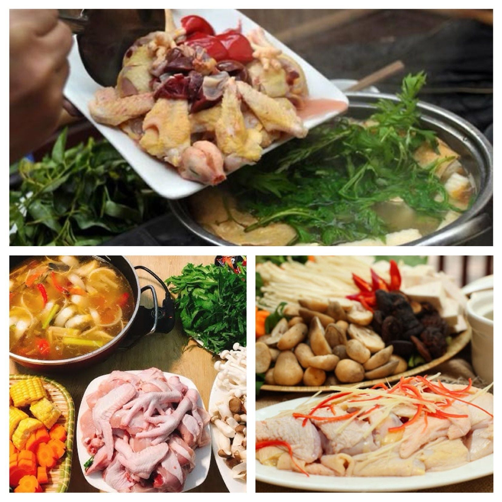 Lẩu Hơi Cosmos - TTTM D2 Giảng Võ