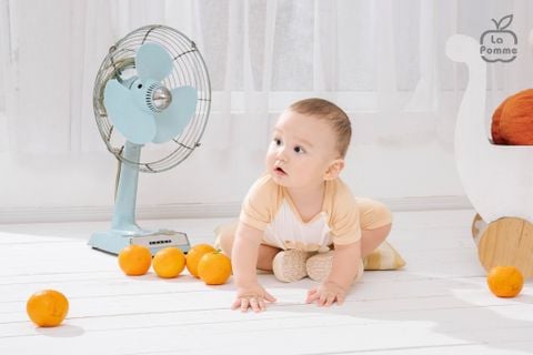  Bộ cộc tay La Pomme raglan người bạn ngộ nghĩnh 