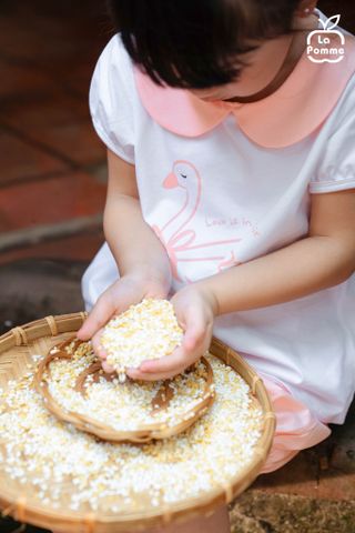  Bộ cộc tay La Pomme phối bèo thiên nga hoạt bát 