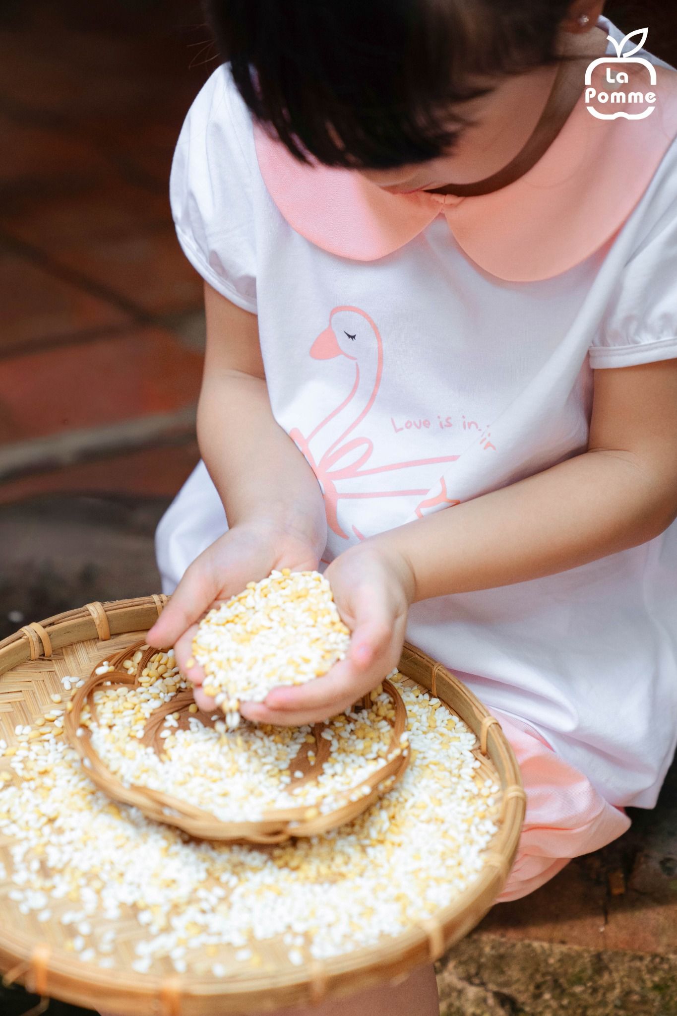  Bộ cộc tay La Pomme phối bèo thiên nga hoạt bát 