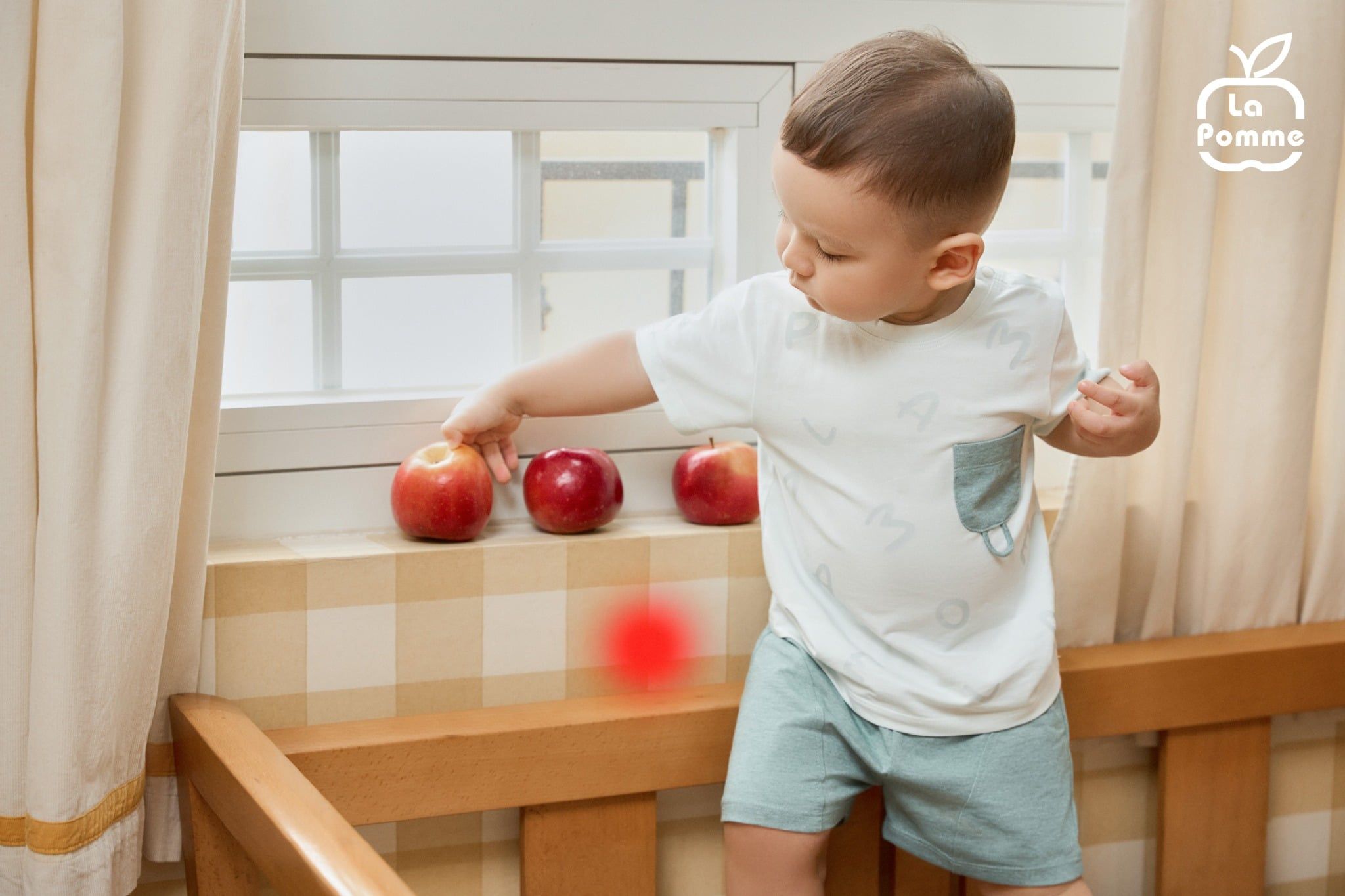  Bộ cộc tay La Pomme ký hiệu dễ thương 