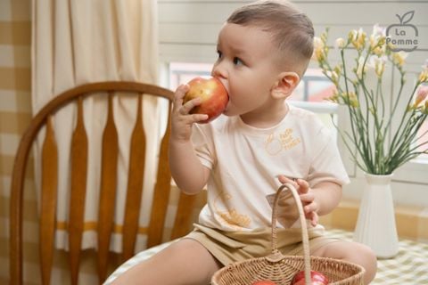  Bộ cộc tay La Pomme trái táo siêu ngầu 