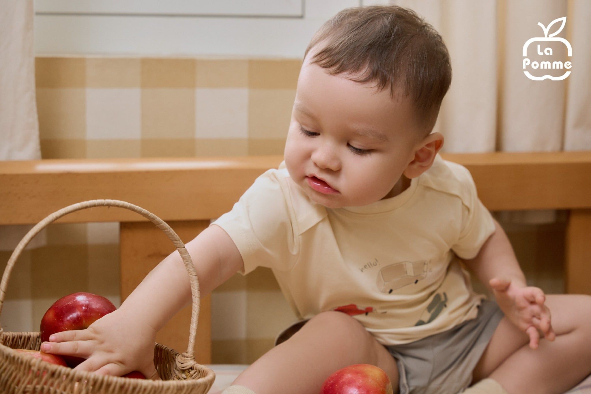  Bộ cộc tay La Pomme thế giới ô tô sành điệu 