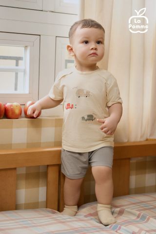  Bộ cộc tay La Pomme thế giới ô tô sành điệu 
