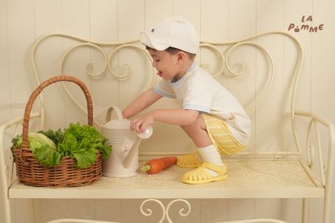  Bộ cộc tay La Pomme vườn hoa quả ngập nắng 