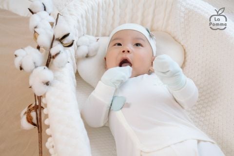  Bộ dài tay cúc lệch La Pomme mềm mịn đón con yêu 