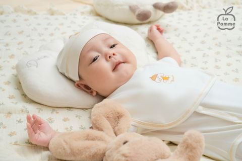  Body chip cộc La Pomme bé cún lông mềm 