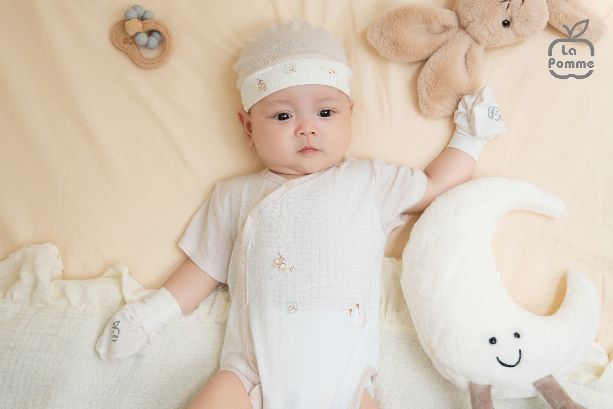  Body chip cộc tay La Pomme truy tìm hạt dẻ 