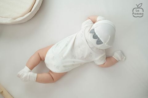  Body chip cộc La Pomme gia đình khủng long 