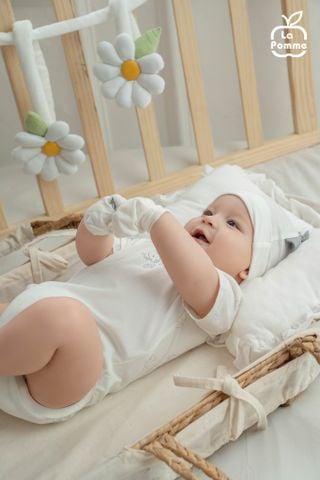  Body chip cộc La Pomme gia đình khủng long 