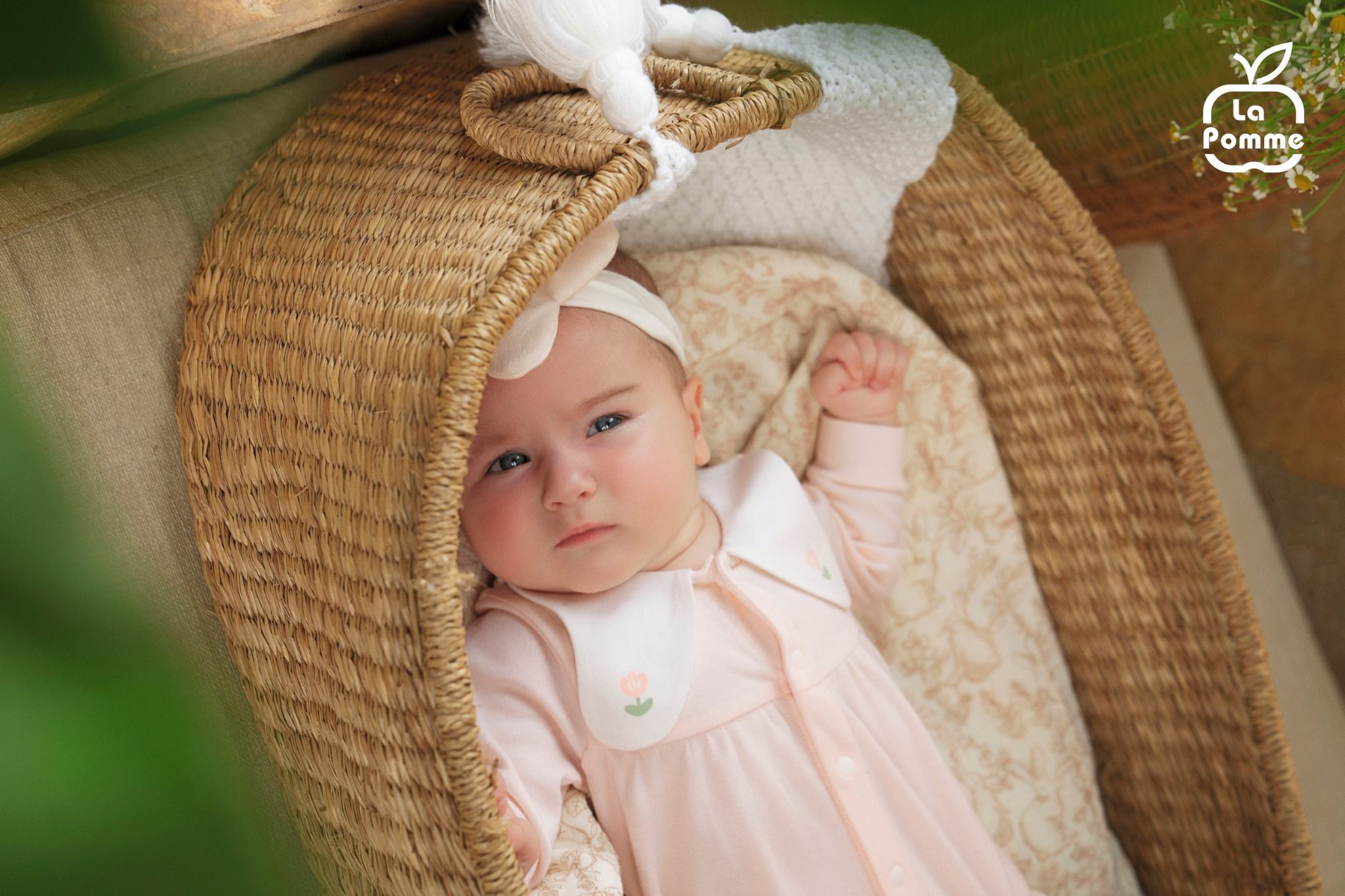  Set body chip dài tay kèm quần La Pomme cánh bướm đáng yêu 