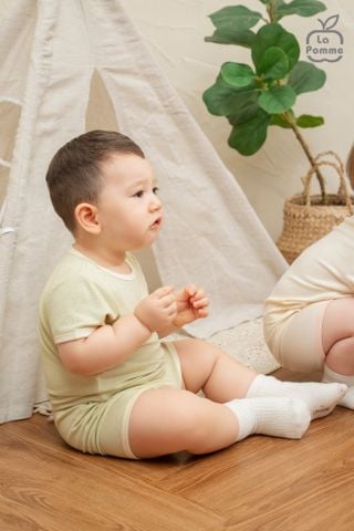  Bộ cộc tay Mềm Mịn by La Pomme người bạn puppy 