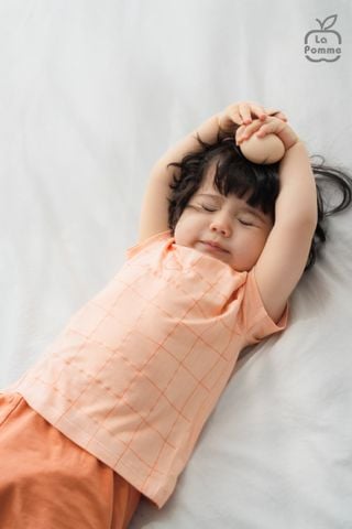  Bộ cộc tay Mềm Mịn by La Pomme vải phối họa tiết cá tính 