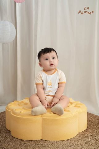  [NÊN TĂNG SIZE] Bộ cộc tay Mềm Mịn by La Pomme chiếc bánh xinh của puppy 