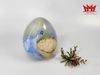Quả trứng thủy tinh nghệ thuật MURANO - Ý