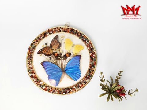  Tranh bướm treo tường được làm từ bướm khô với hạt đá màu gắn xung quanh viền. 