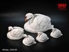 BỘ NGŨ THIÊN NGA SÀNH SỨ – VẺ ĐẸP THANH CAO