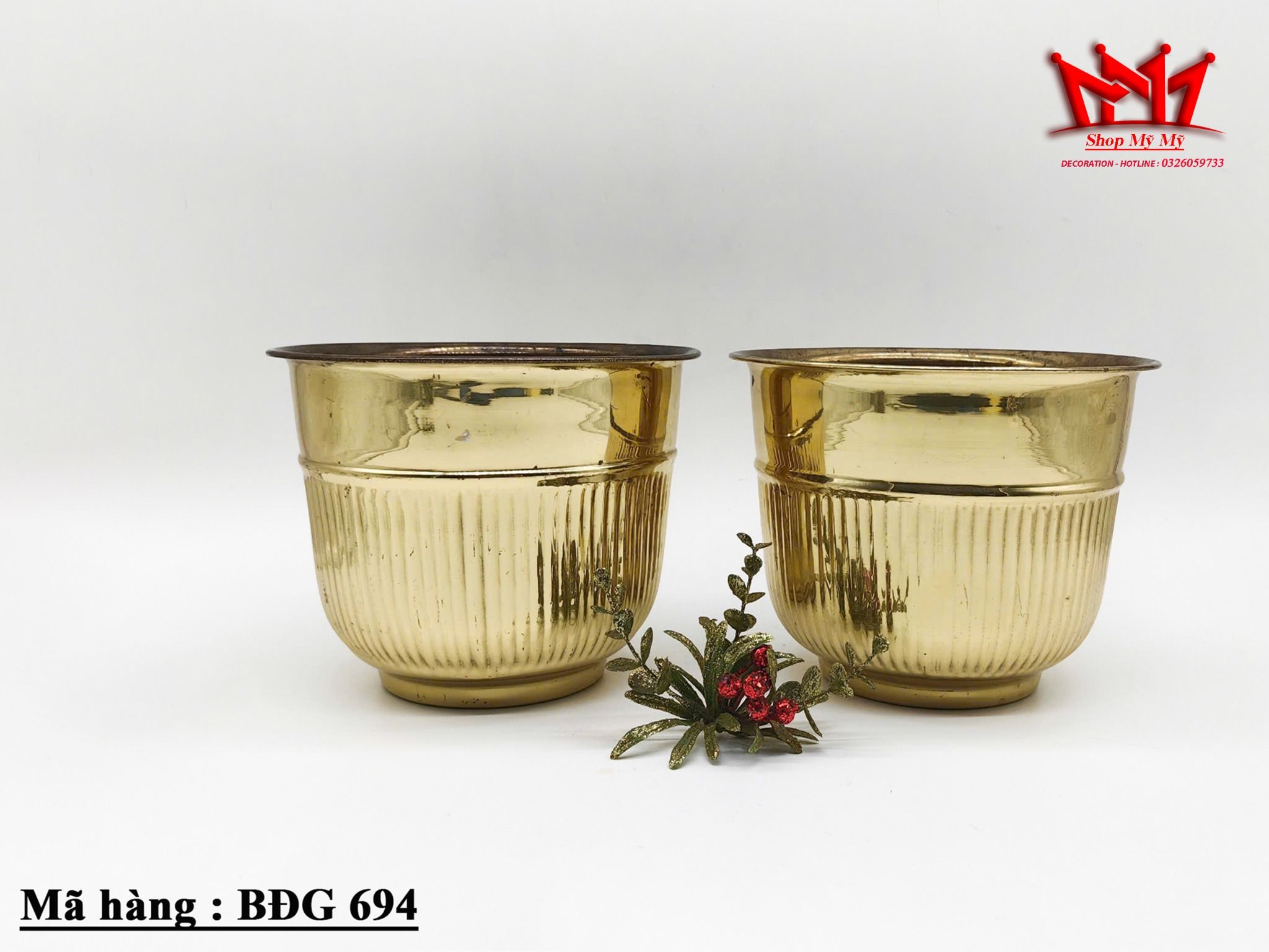 CẶP CHẬU ĐỒNG SỌC VINTAGE – ĐIỂM NHẤN SANG TRỌNG CHO KHÔNG GIAN XANH