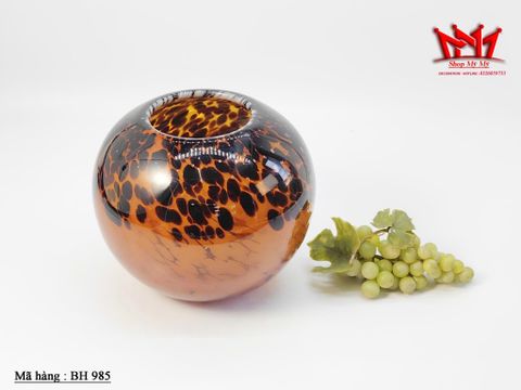  BÌNH THỦY TINH NGHỆ THUẬT – ĐẲNG CẤP KHÔNG GIAN SỐNG 