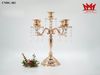 LUNG LINH ĐÊM TIỆC – CHÂN NẾN PHA LÊ HOÀNG GIA SANG TRỌNG (CNĐG 482)