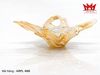 ART THỦY TINH NGHỆ THUẬT