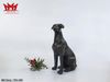 🐕 **TƯỢNG CHÓ BẰNG ĐỒNG – BIỂU TƯỢNG TRUNG THÀNH & PHONG THỦY MAY MẮN**