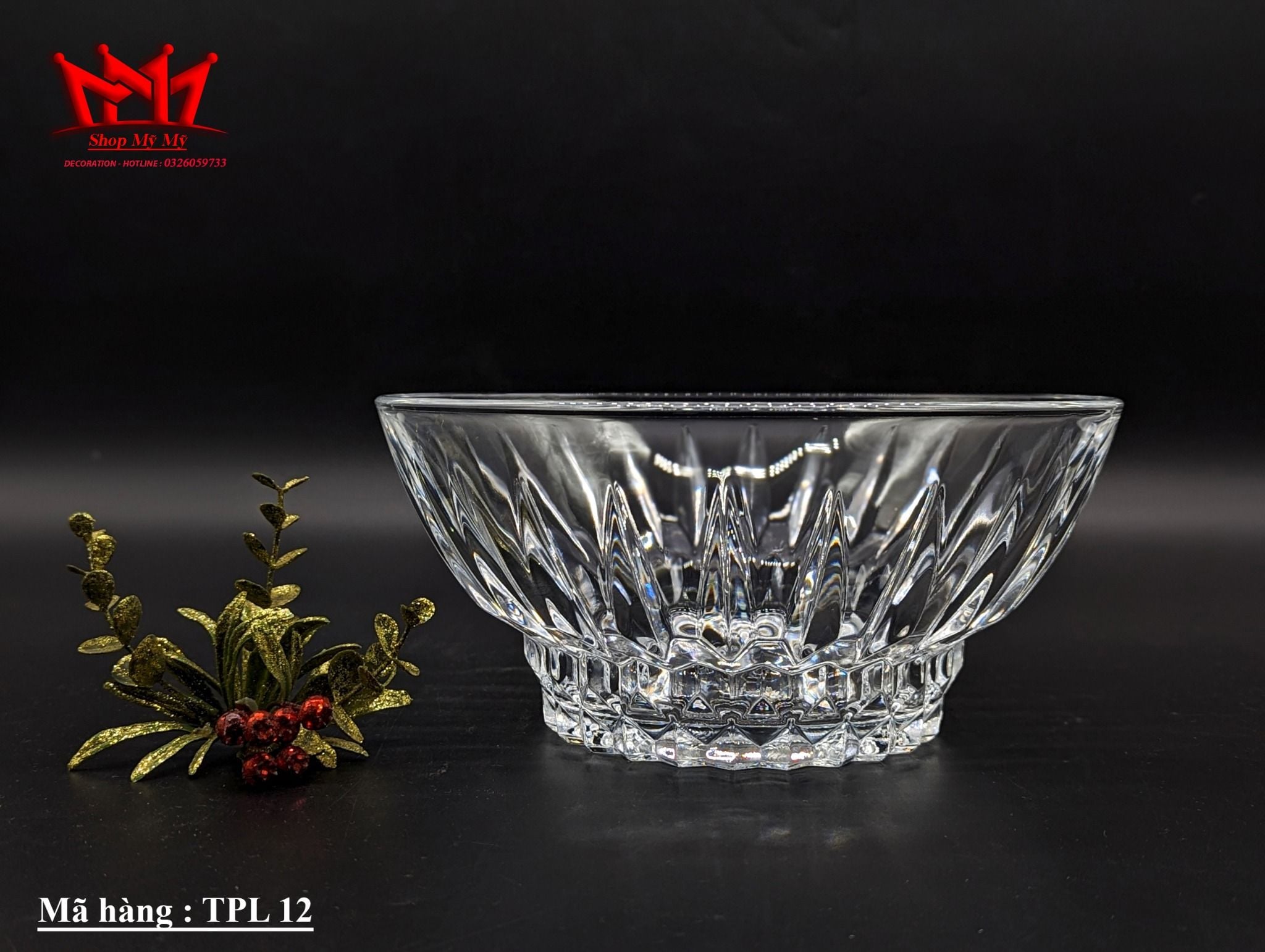 Tô pha lê cao cấp – Mã T12