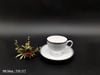 Bộ 6 set tách trà Wedgwood CELESTIAL Platinum England 1759 . Bone China.