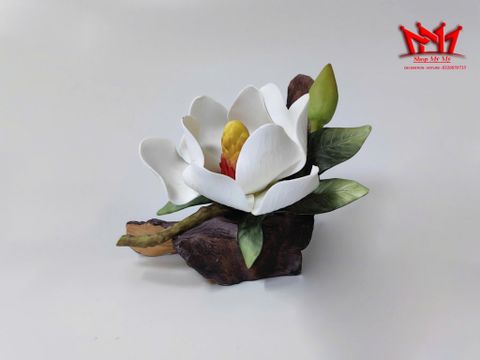  Bông hoa mộc lan bằng sứ tuyệt đẹp, kiệt tác sưu tầm của Ý. 