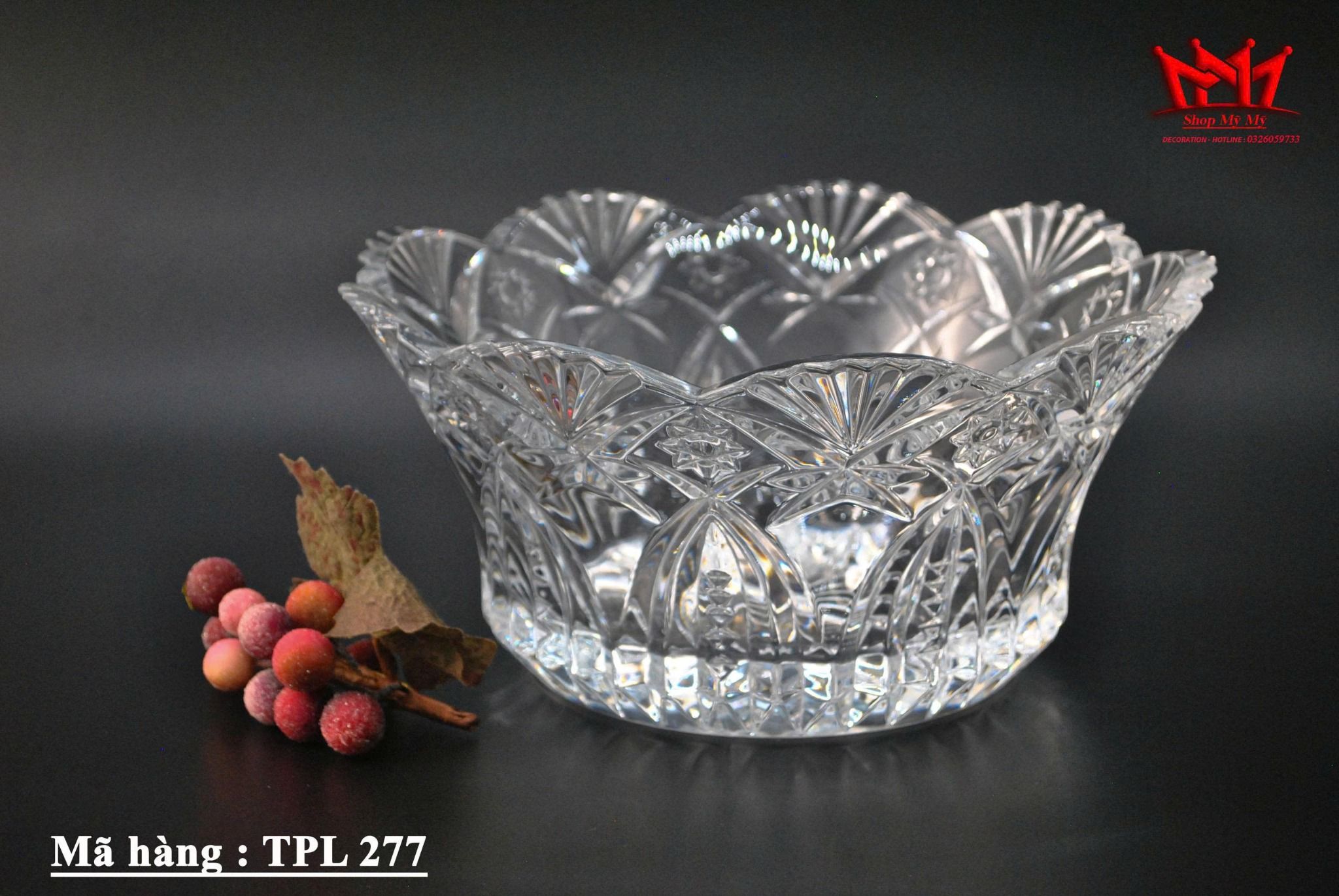 TÔ PHA LÊ JG DURAND VINCENNES - PHÁP