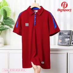 Áo Polo thể thao nam Riki AP01