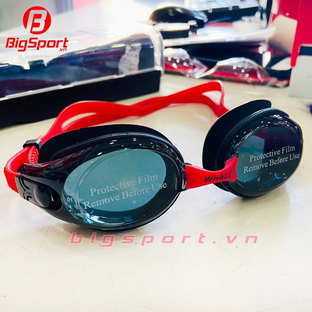 Kính bơi Whale 6702