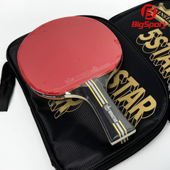 Vợt bóng bàn Winstar 5 sao