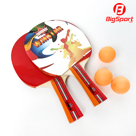 Vợt bóng bàn Winstar 8