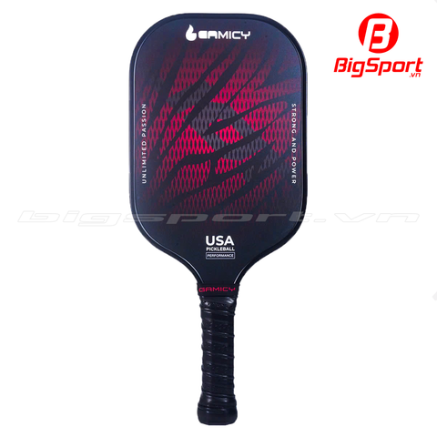 Vợt Pickleball Gamicy Lion