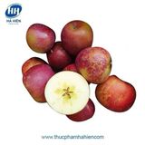 Táo đá bọc Xốp