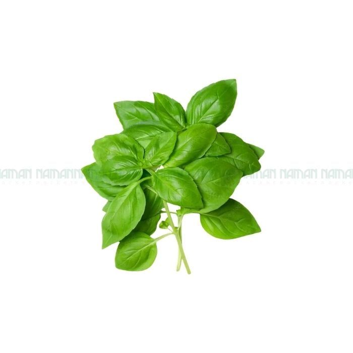 Basil Nam An 50G