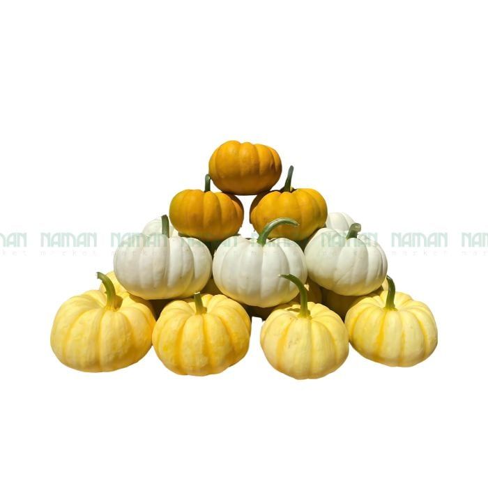 Baby Pumpkin Halloween 200G+