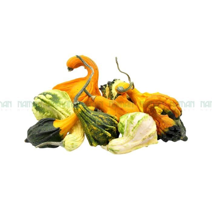 Trái Bí Ngòi Thiên Nga Halloween 180G+