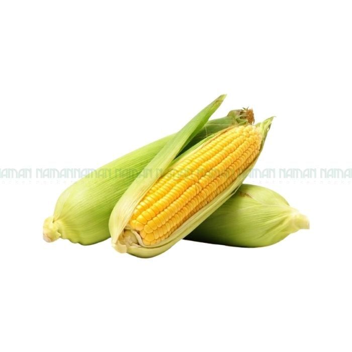 Trái Bắp Ngọt Nam An