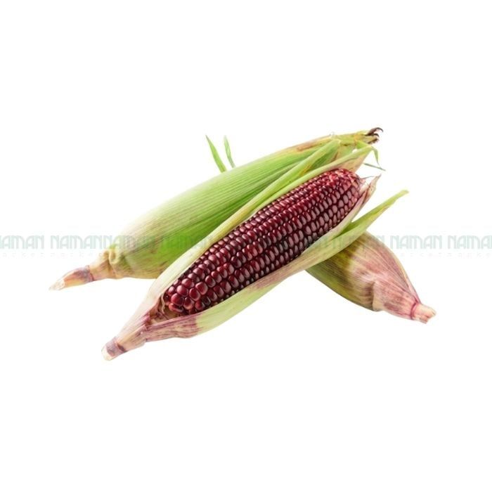 Trái Bắp Nữ Hoàng Nam An