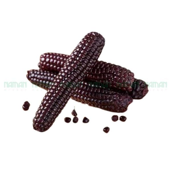 Ngô Nếp Mochi Tím Kame Nozoki 500G