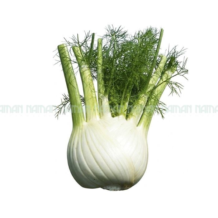 Fennel 500G