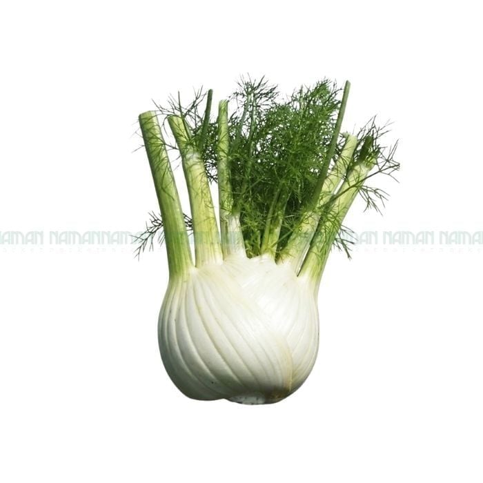 Fennel Nam An 500G