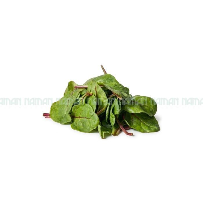 Cải Cầu Vồng Ant Farm 100G