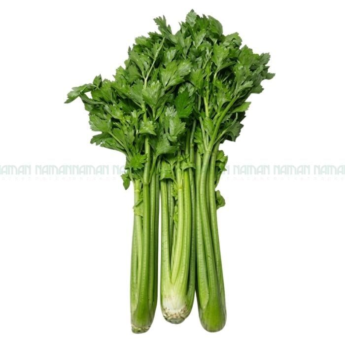 Celery Nam An 500G